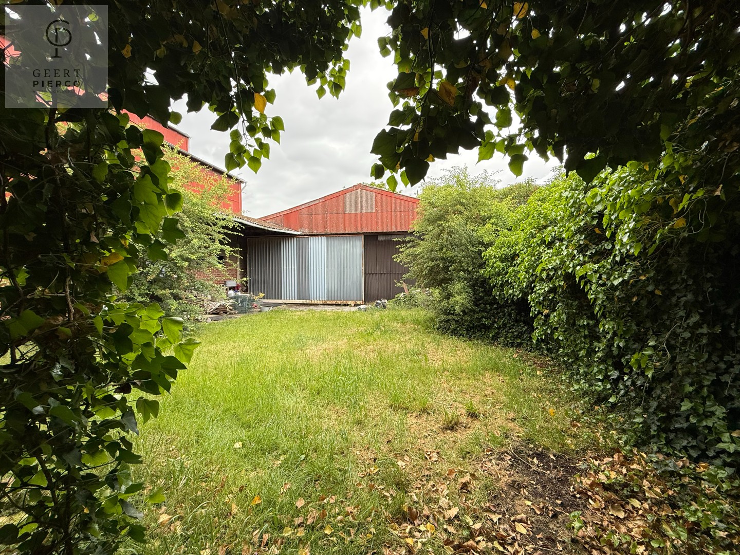 Land for sale in Montenaken - photo 3