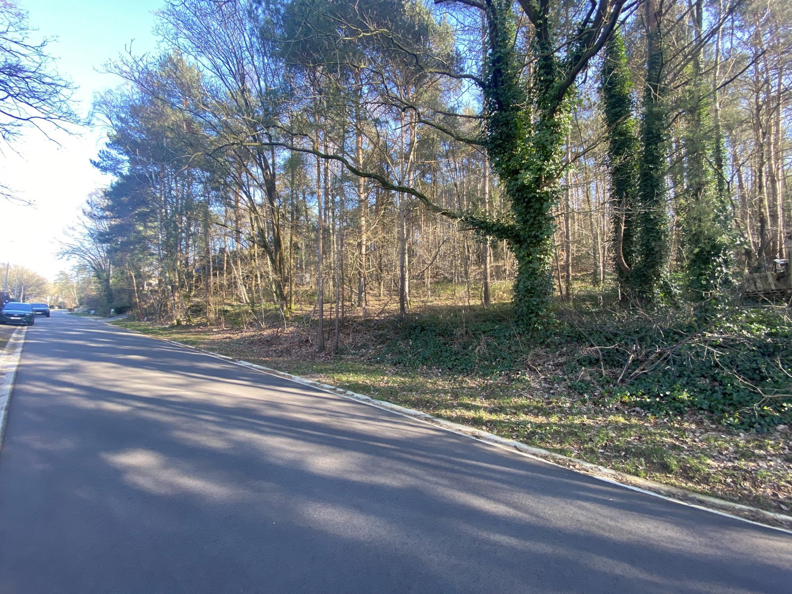 Grond te koop in Rotselaar - foto 1