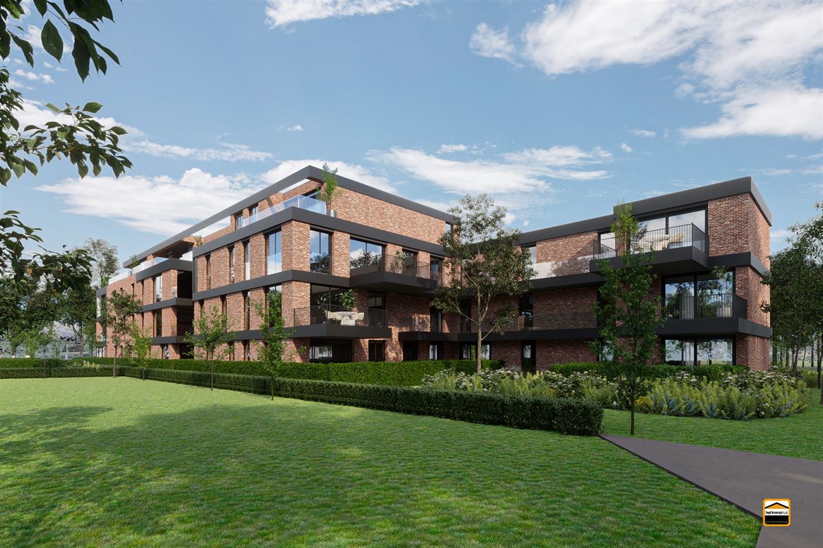 Project te koop in Sint-Truiden - foto 4