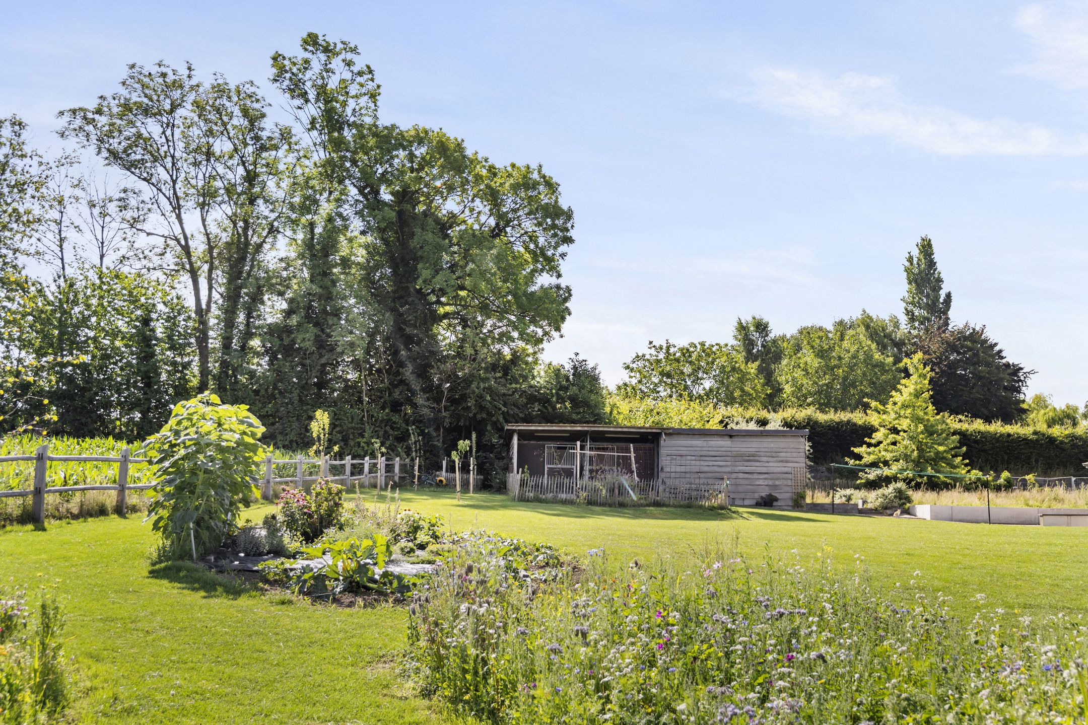 Maison à vendre à Brakel avec 6 chambres - photo 3
