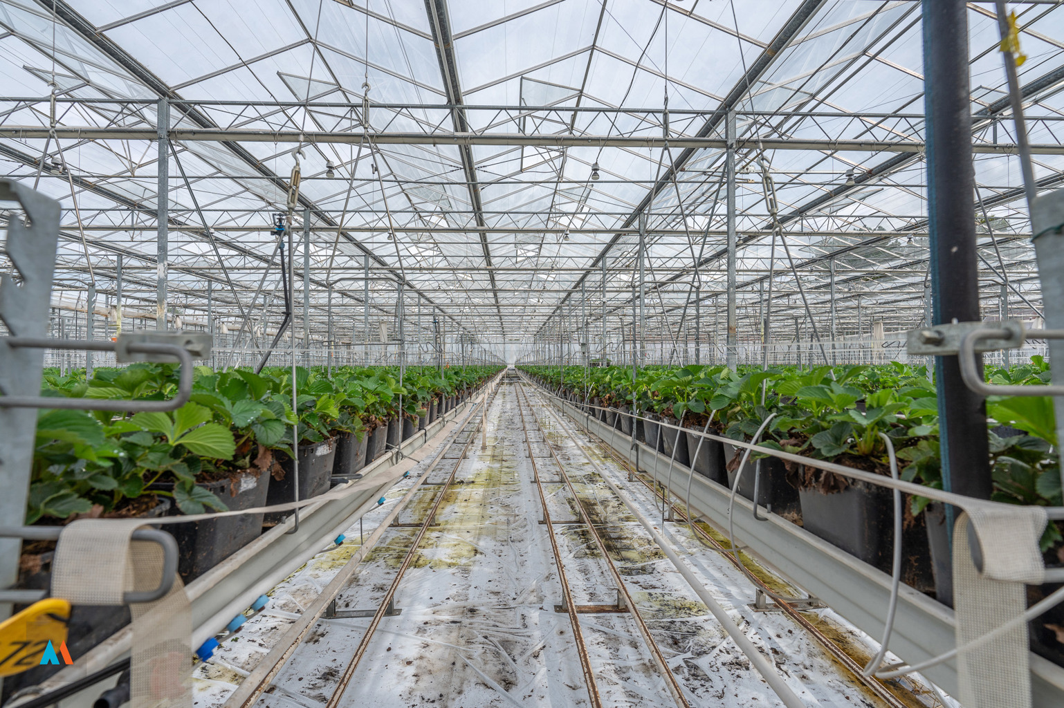 Serre met loods - foto 5