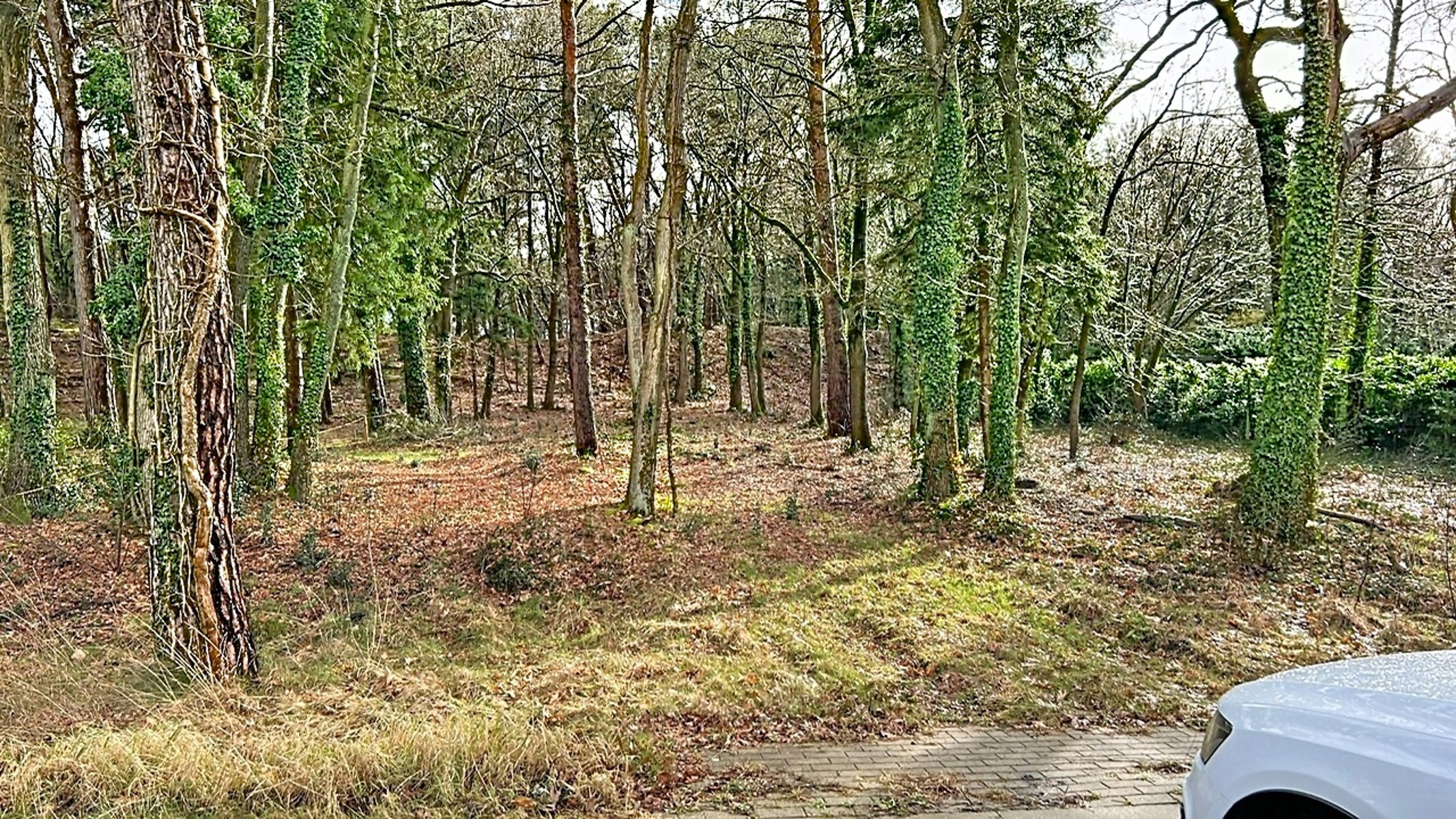 Bouwgrond van ca 1469 m² te koop in groene omgeving - foto 5