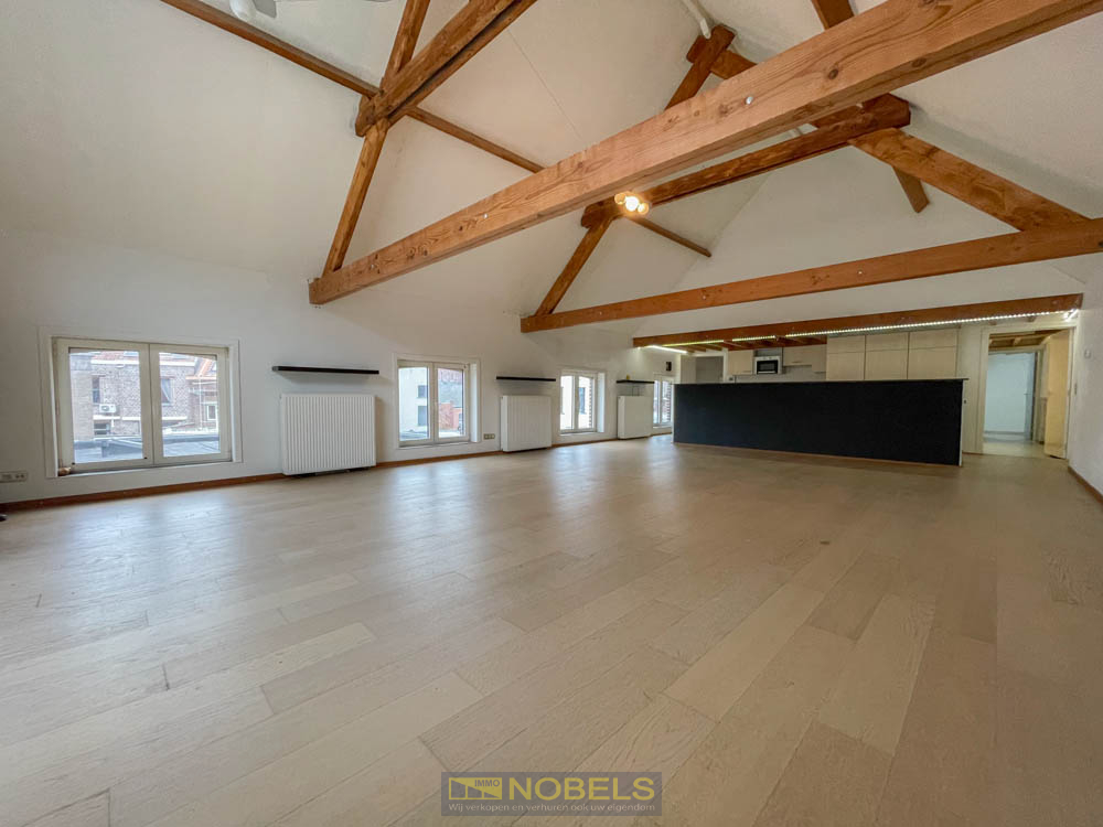 Te huur, gezellig appartement met terras en autostaanplaats te Ronse - photo 1