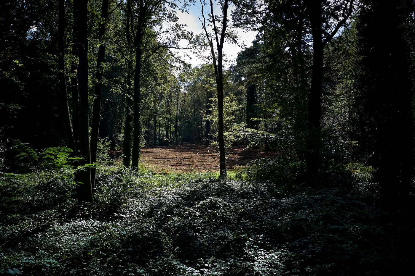 Exceptioneel perceel bouwgrond te Schilde!!! - foto 5