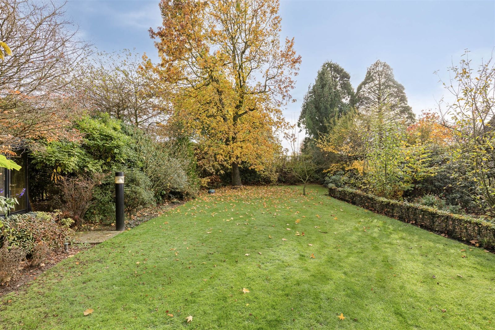 Ruime (laagbouw)woning nabij centrum, op 1029 m² - foto 3