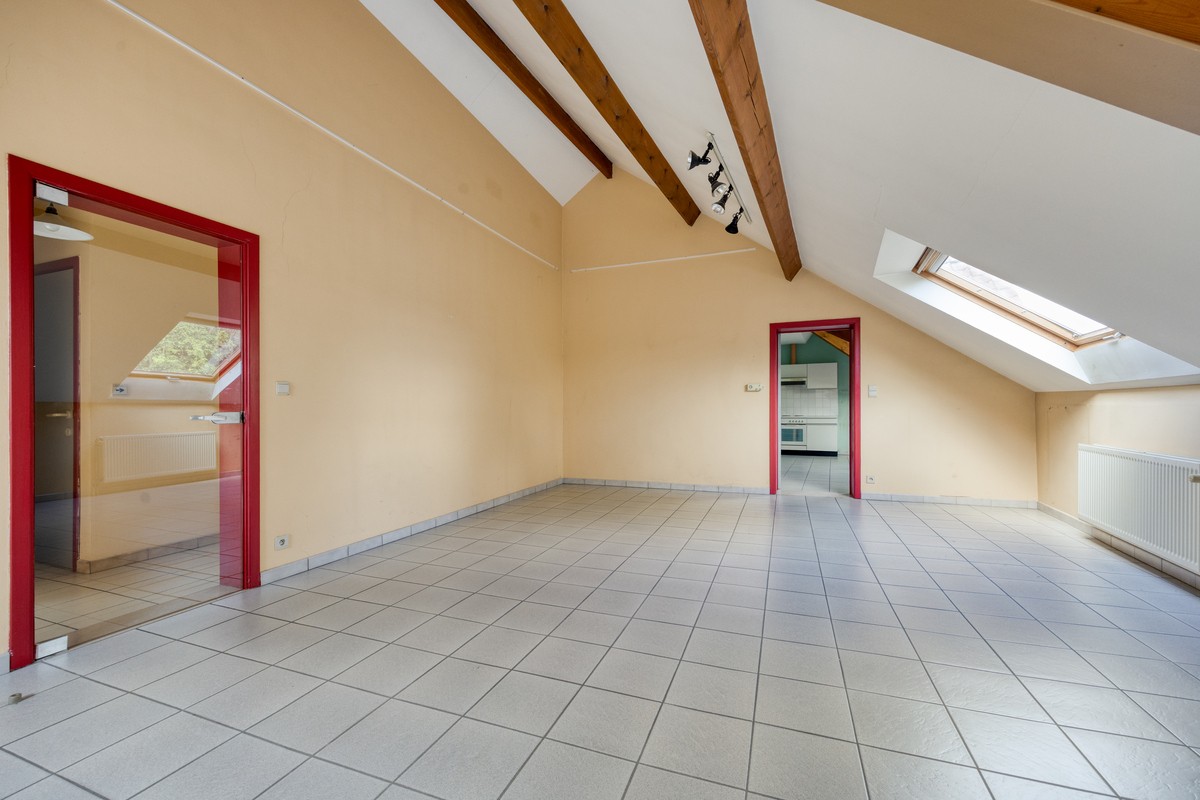 Ruim dakappartement in kleine residentie - foto 4