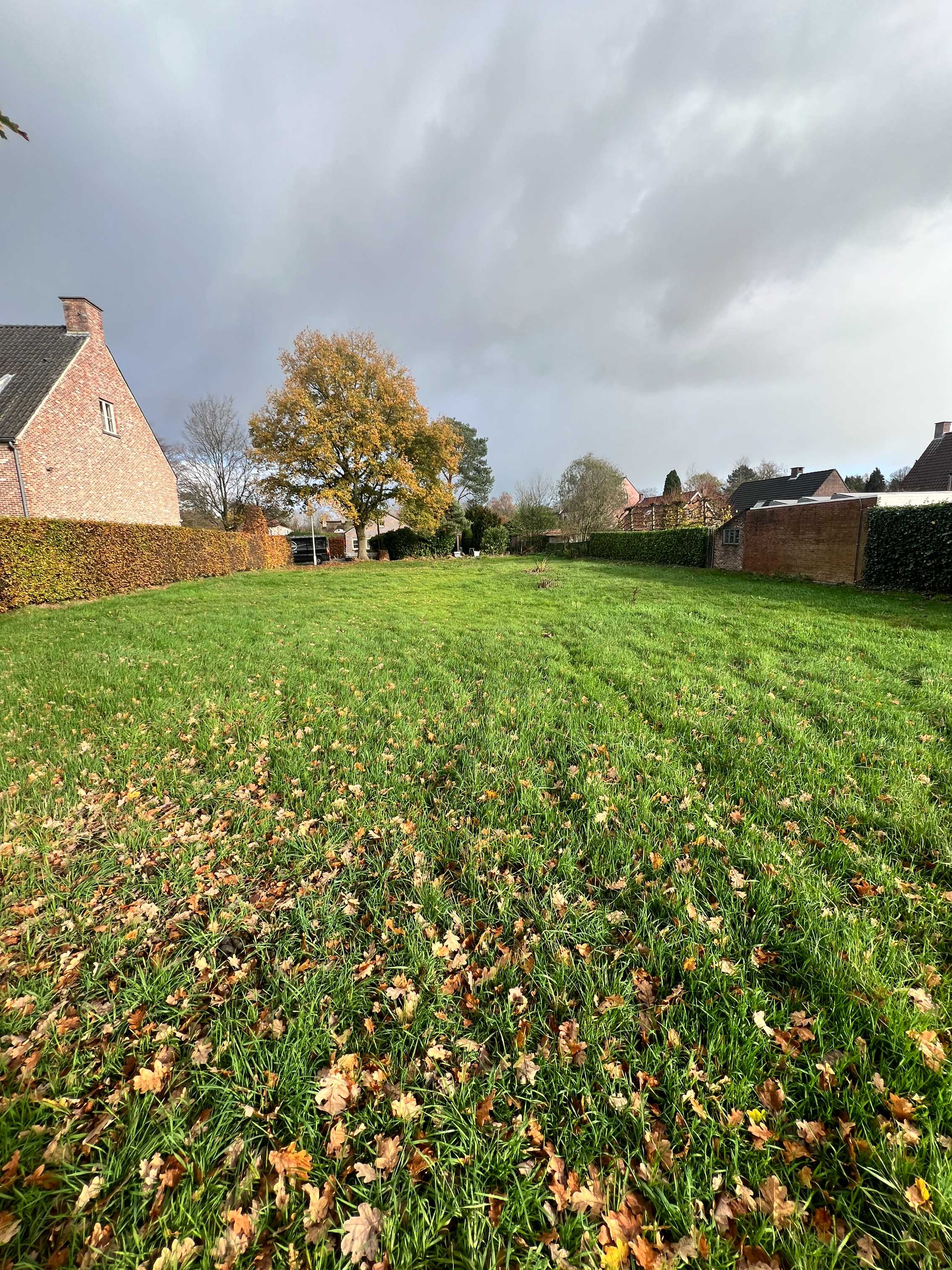 Grond te koop in Kalmthout - foto 3