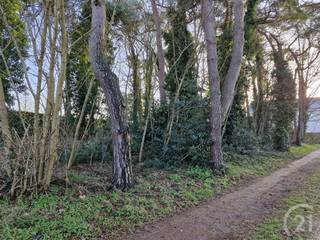 <p>Mooie bouwgrond te koop in Tremelo!<br /><br />Een prachtig, achterliggend perceel bouwgrond van 13 are 33 ca. Landelijk en in het groen En toch kortbij het centrum.<br /><br />Maximale bouwdiepte 10 m en maximale breedte 15 m!!<br /><br />Lot 1 op het plan.<br /><br />Wens je een gratis schatting? Vergeet dan zeker geen contact met ons op te nemen!<br /><br />Wil jij hier je nieuwe thuis bouwen? Mail dan naar info@future-home.be of bel ons op 016 90 10 21.<br /><br />Woongebied, Vergunning, Geen voorkooprecht, Geen dagvaarding, Verkavelingsvergunning, Geen watertoets</p>