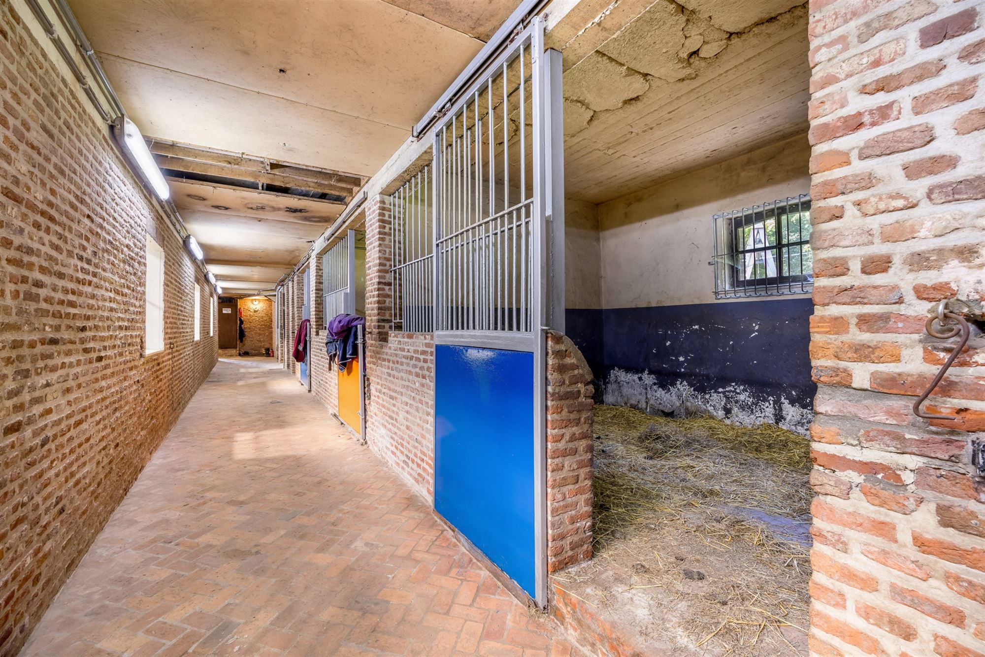 UNIEKE EIGENDOM MET 24 PAARDENSTALLEN EN BINNENPISTE OP CA 10 HECTARE TE PAAL-BERINGEN - foto 5
