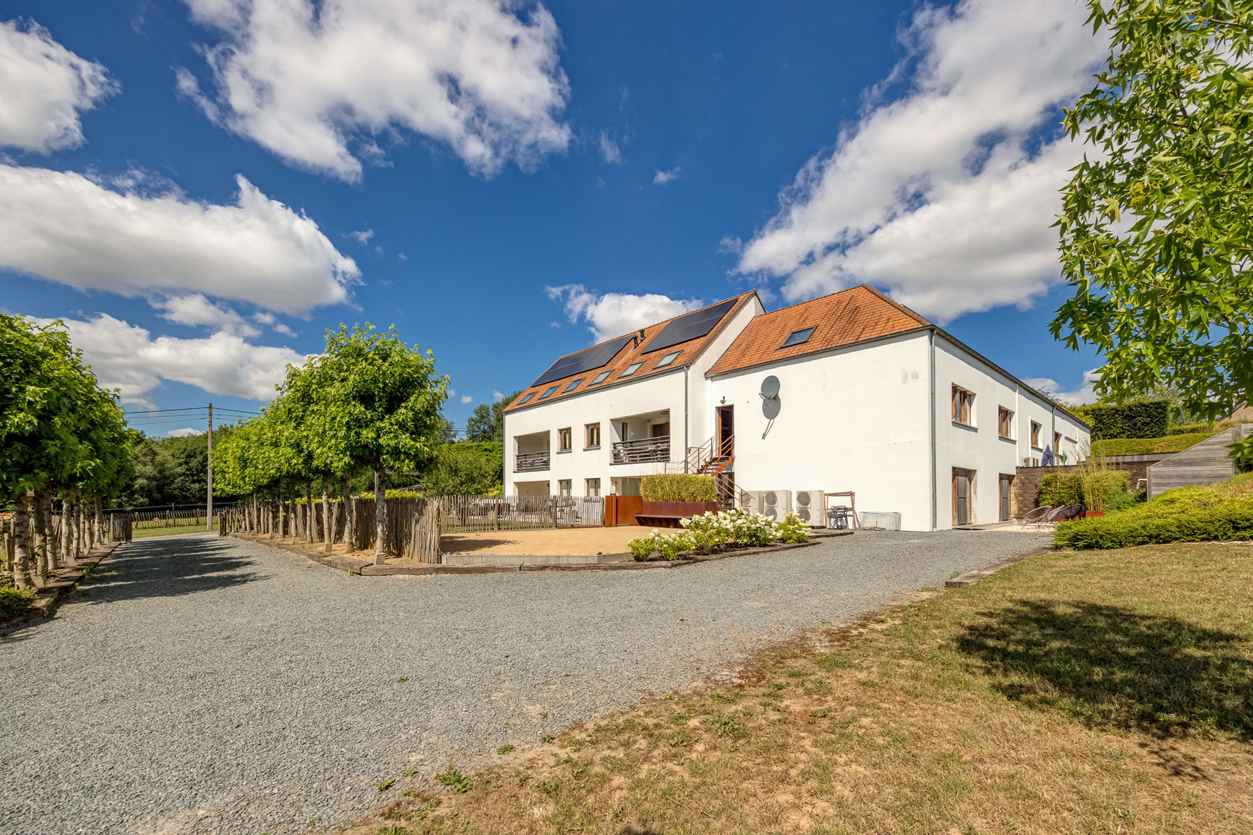 Maison à vendre à Ellezelles avec 12 chambres - photo 3