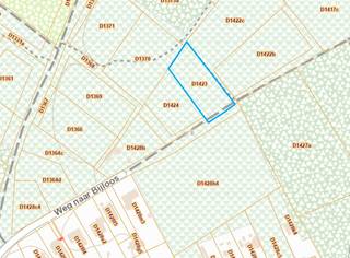 Achter in de Weg naar Bijloos ligt dit perceel bosgrond met een oppervlakte van 2810m². Het stuk is toegankelijk via een voetweg en kan bereik worden met de wagen indien nodig. <br /><br />Stedenbouwkundige info:<br />Natuurgebieden – geen bouwvergunning – geen rechterlijke herstelmaatregel of bestuurlijke maatregel opgelegd – voorkooprecht - geen verkavelingsvergunning. <br /><br />O-peil: niet overstromingsgevoelig<br /><br />P-score: A