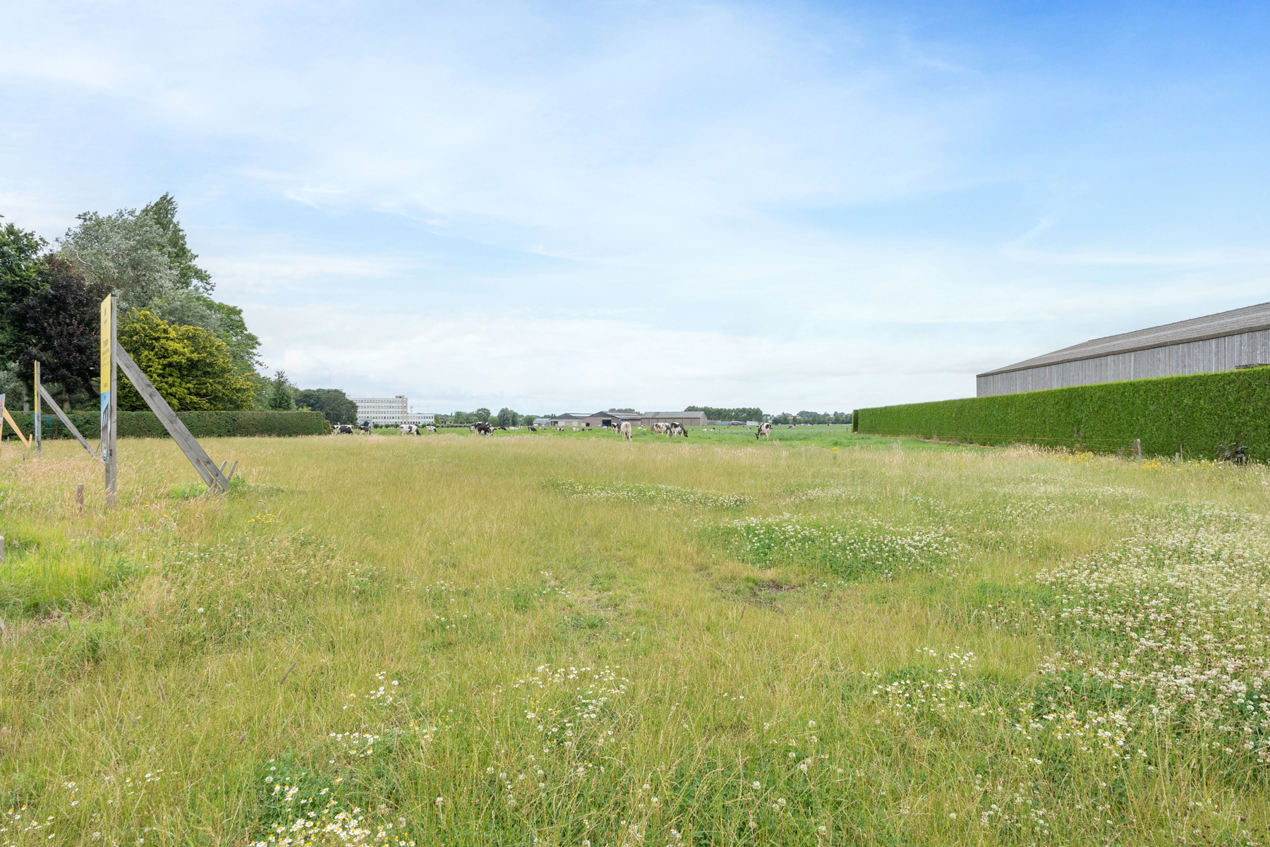 Land for sale in Poperinge