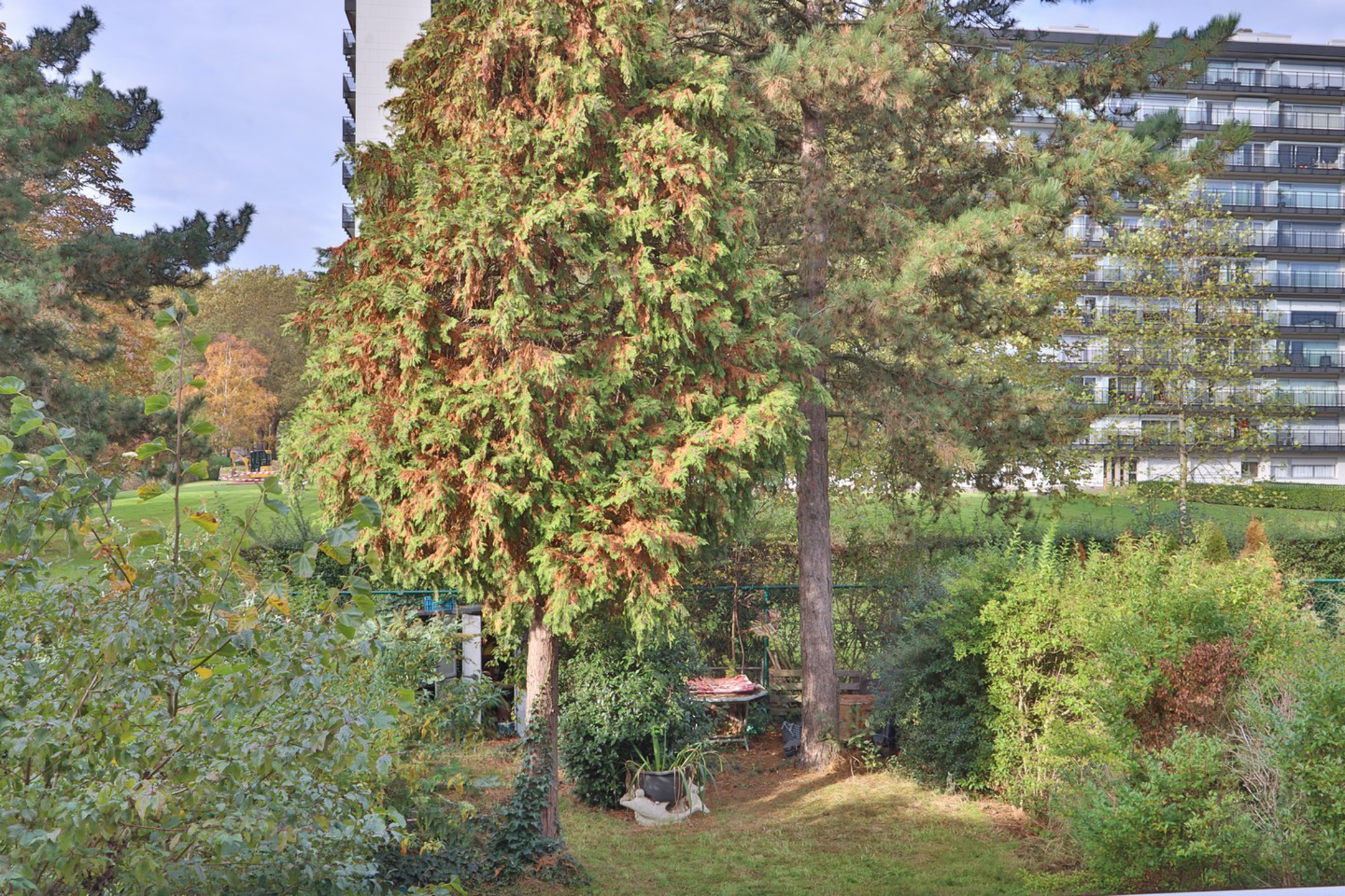 Ruime bel-etage met 3 slaapkamers op een TOPligging!  - foto 4