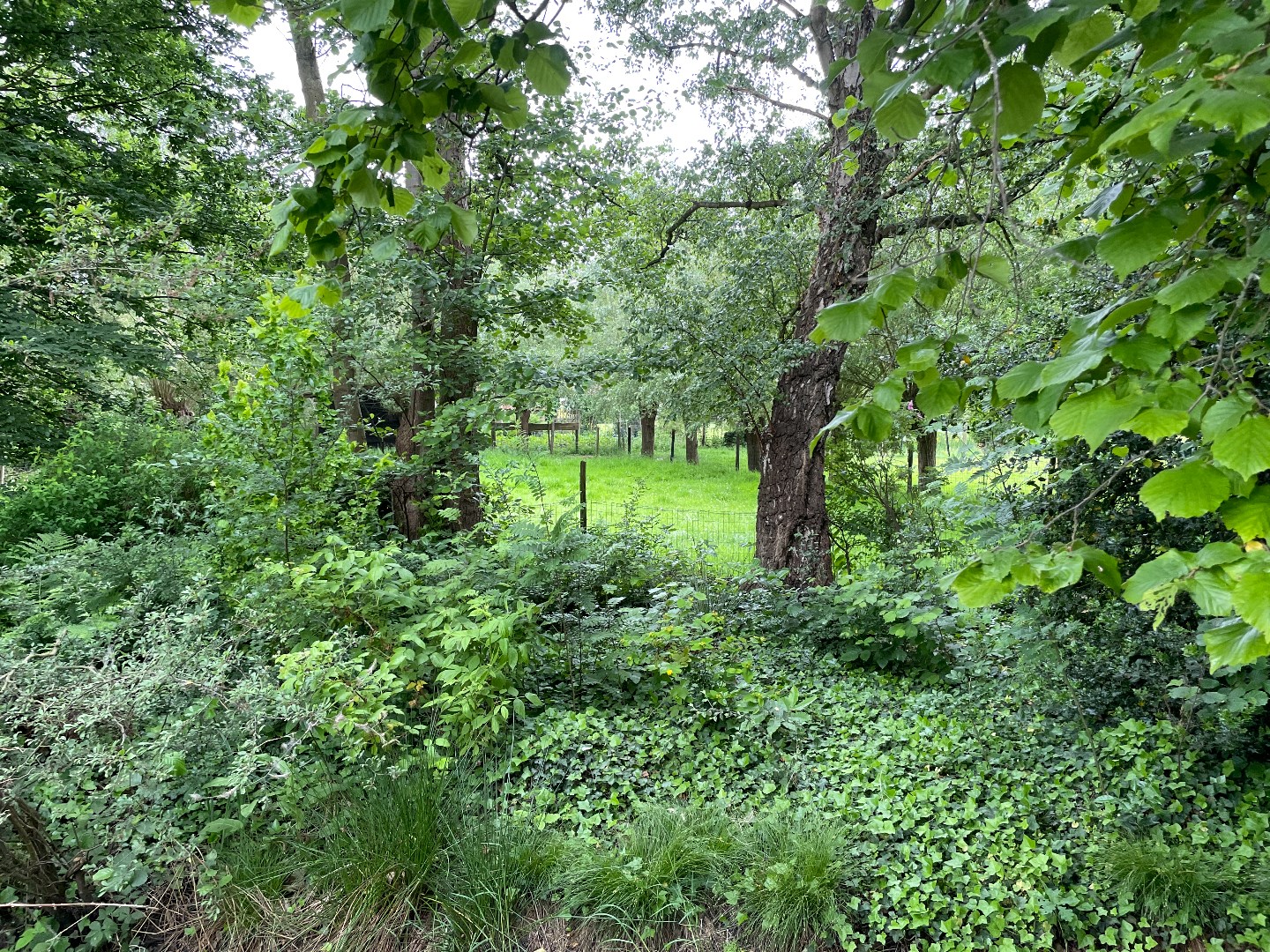 Perceel bouwgrond te Heusden/Destelbergen met zuidgerichte tuin op perceel van 1420.00m² - foto 1