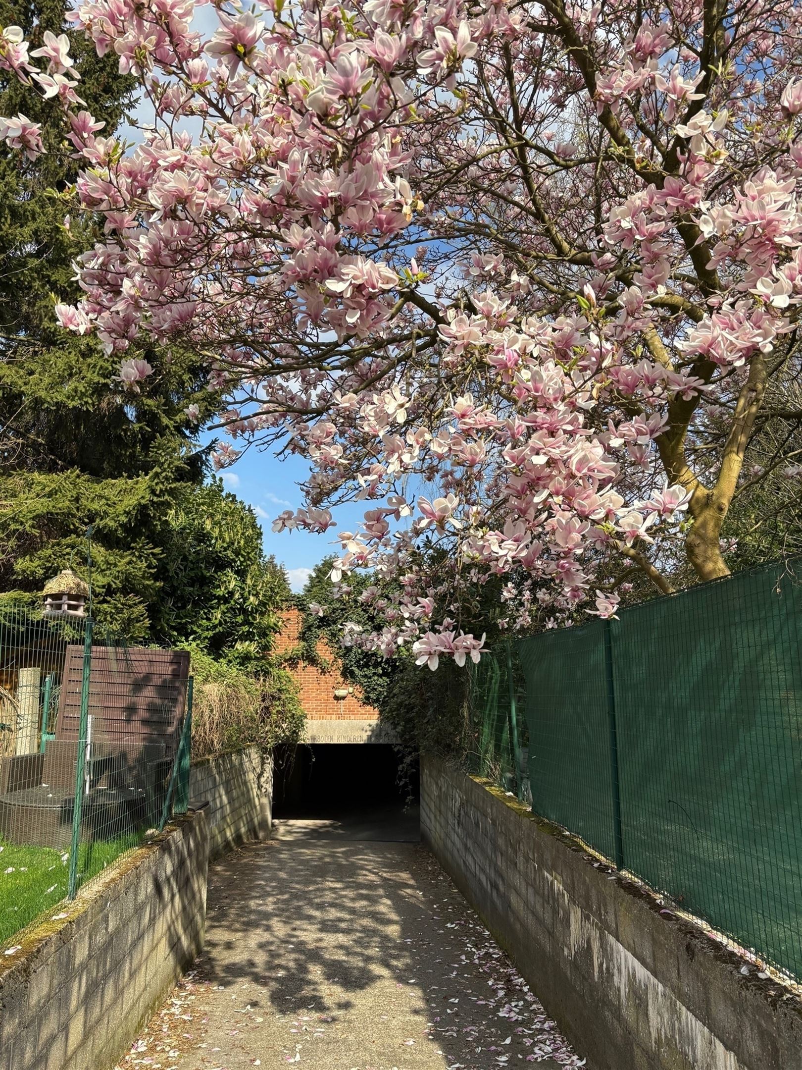 Garage à vendre à Mortsel - photo 5