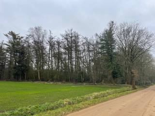 Land for sale in Lille