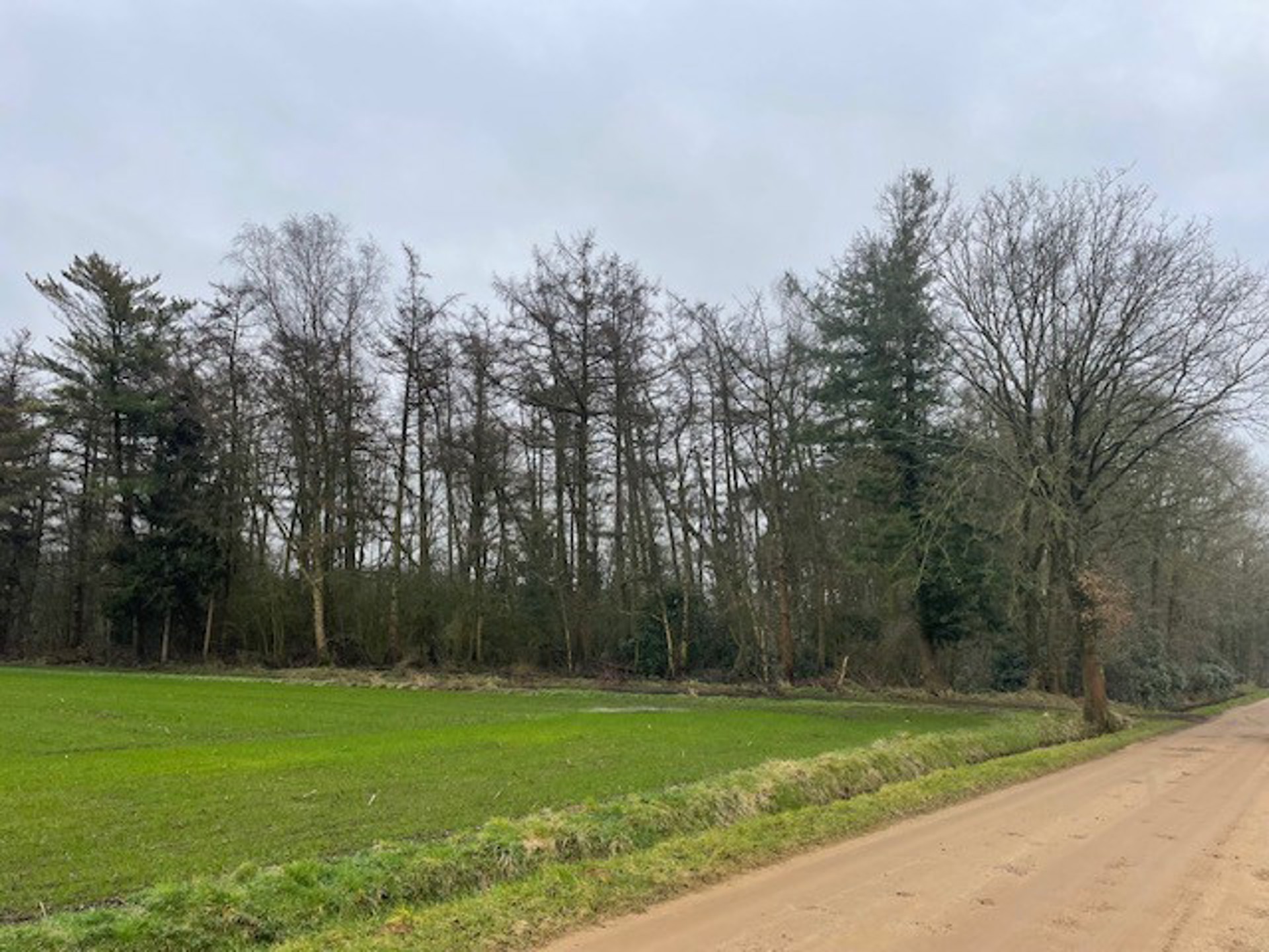 Terrain à vendre à Lille - photo 2