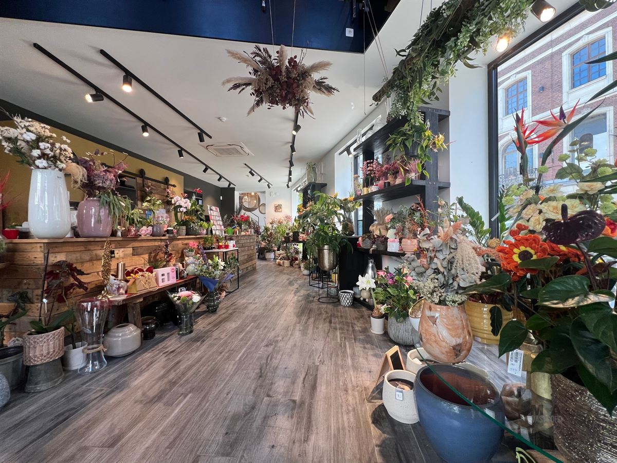 winkel - foto 4