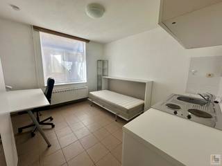 Deze leuke gemeubelde kamer is gelegen nabij UZ Gent en op fietsafstand van het Sint-Pietersstation.<br /><br />De kamer is voorzien van een bureau, kleerkast, bureaustoel en opklapbed. Tevens is er een kitchenette aanwezig met kookplaatjes, spoelbak en koelkast.<br />Toilet en douche zijn gemeenschappelijk en te delen met 1 andere student. Er is een lavabo voorzien op de kamer.<br /><br />Beschikbaar vanaf 01/09/2026.<br /><br />Enkel voor STUDENTEN. Domicilie is NIET mogelijk!<br /><br />EPC: 285 kWh/m².<br />Huurprijs: 490 euro/maand (elektriciteit, verwarming, water en internet inbegrepen).