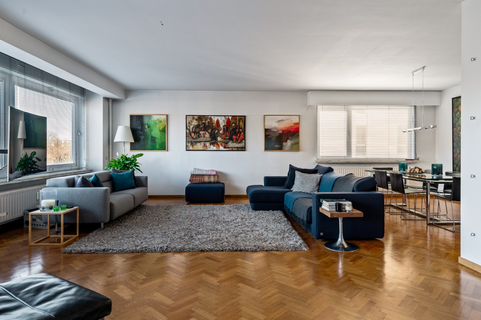 Riant appartement met prachtig zicht over het Stadspark! - foto 4
