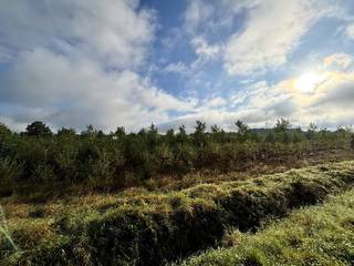 Terrain à vendre à Balen