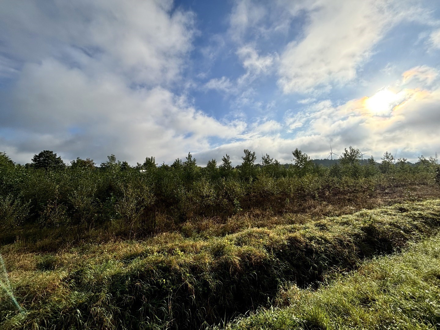 Terrain à vendre à Balen - photo 3