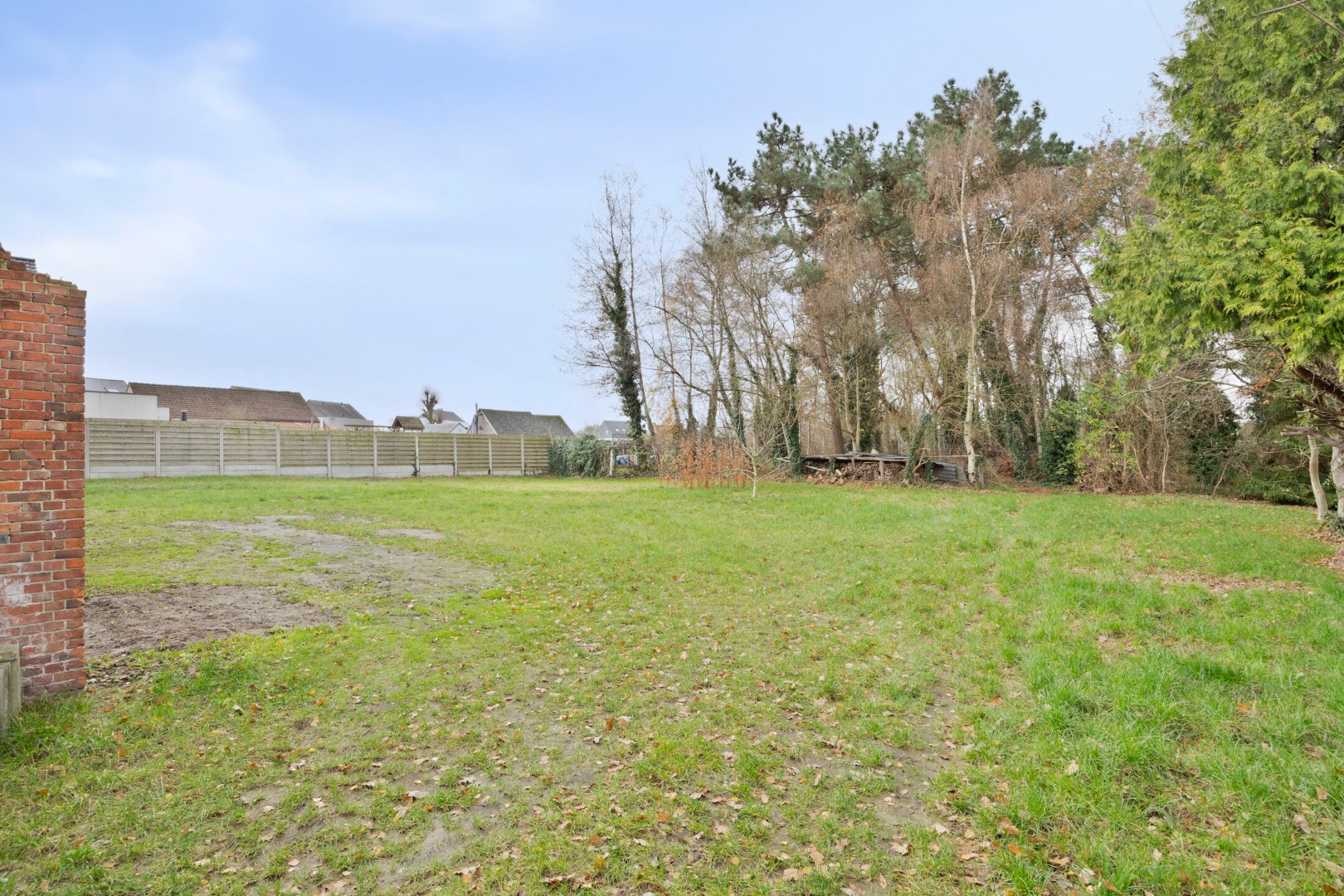 Te renoveren hoeve op 47a 40ca in een rustige omgeving te Mol - foto 5