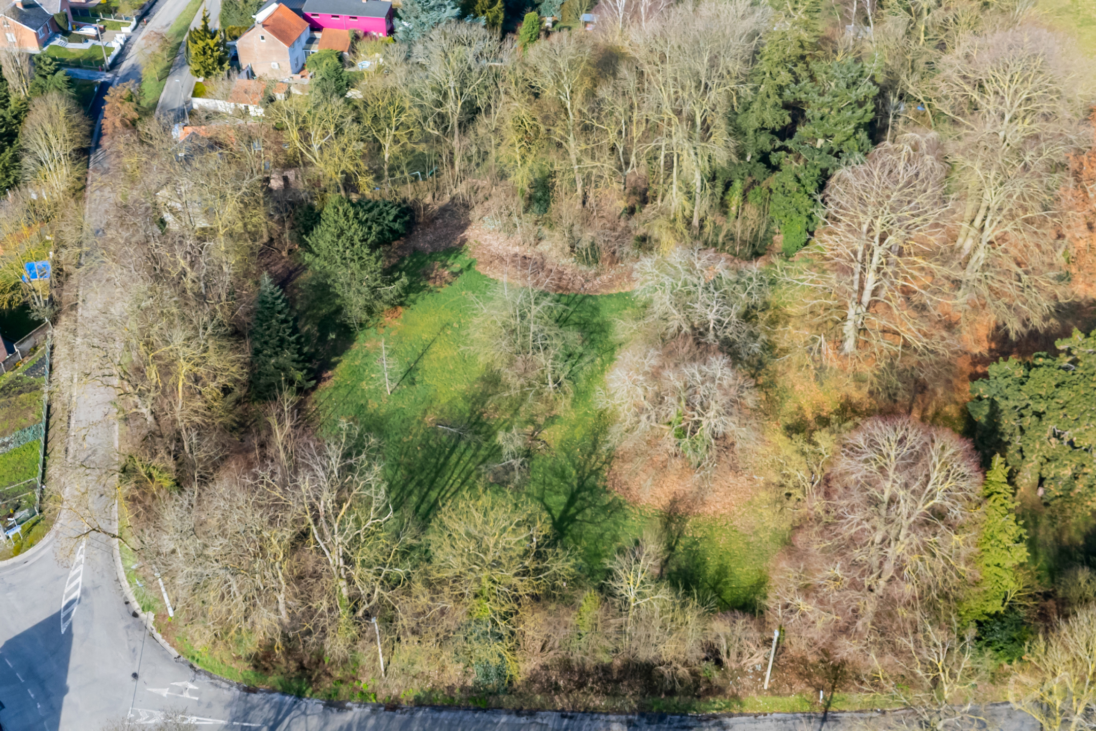 Grond te koop in Avernas-Le-Bauduin - foto 4