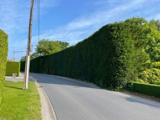 Wenst u rustig wakker te worden met een altijd blijvend (!) landschappelijk open agrarisch zicht op natuur? Dan is dit iets voor u! In deze woningen heeft de architect rekening gehouden met zowel de prachtige zichten alsook heel veel lichtinval waardoor deze woning aangenaam geïntegreerd is in zijn omgeving. Dit alles is bovendien gelegen op een boogscheut van het centrum van het gezellige landelijke Berlare, in een straat met zo goed als geen verkeer, nabij de velden, alle winkels, scholen, sport-, jeugdbeweging, openbaar vervoer, enz... <br />Hier is gekozen voor een ruime woning in een landelijke bouwstijl voorzien van een leefruimte van maar liefst 53m², een extra bureau (of gelijkvloerse slaapkamer), + 3 grote slaapkamers (4.7m x 3.3m ), 2 aparte toiletten, een badkamer voorzien van een ligbad / inloopdouche met vaste muur / een vrije muur van 3,7 meter voor een dubbele lavabo en/of extra kastruimte. Daarnaast is er nog een 2de vaste trap naar de “zolder” van 23,30m² groot waar u indien gewenst kan overgaan naar 4 tot zelfs 5 slaapkamers. Verder is het mogelijk op het perceel een carport aan te vragen.<br />Dit alles zal gebouwd worden op een bouwperceel met een diepte van 50 meter, door ervaren vakmensen, met de nieuwste technologieën, vloerkoeling & verwarming, ventilatiesysteem type C+ en dit alles afgewerkt met hoogwaardige materialen. Kortom bel of mail vandaag nog voor uw afspraak naar info@rosiersderidder.be of 052/41.41.94<br />referentie: 5452