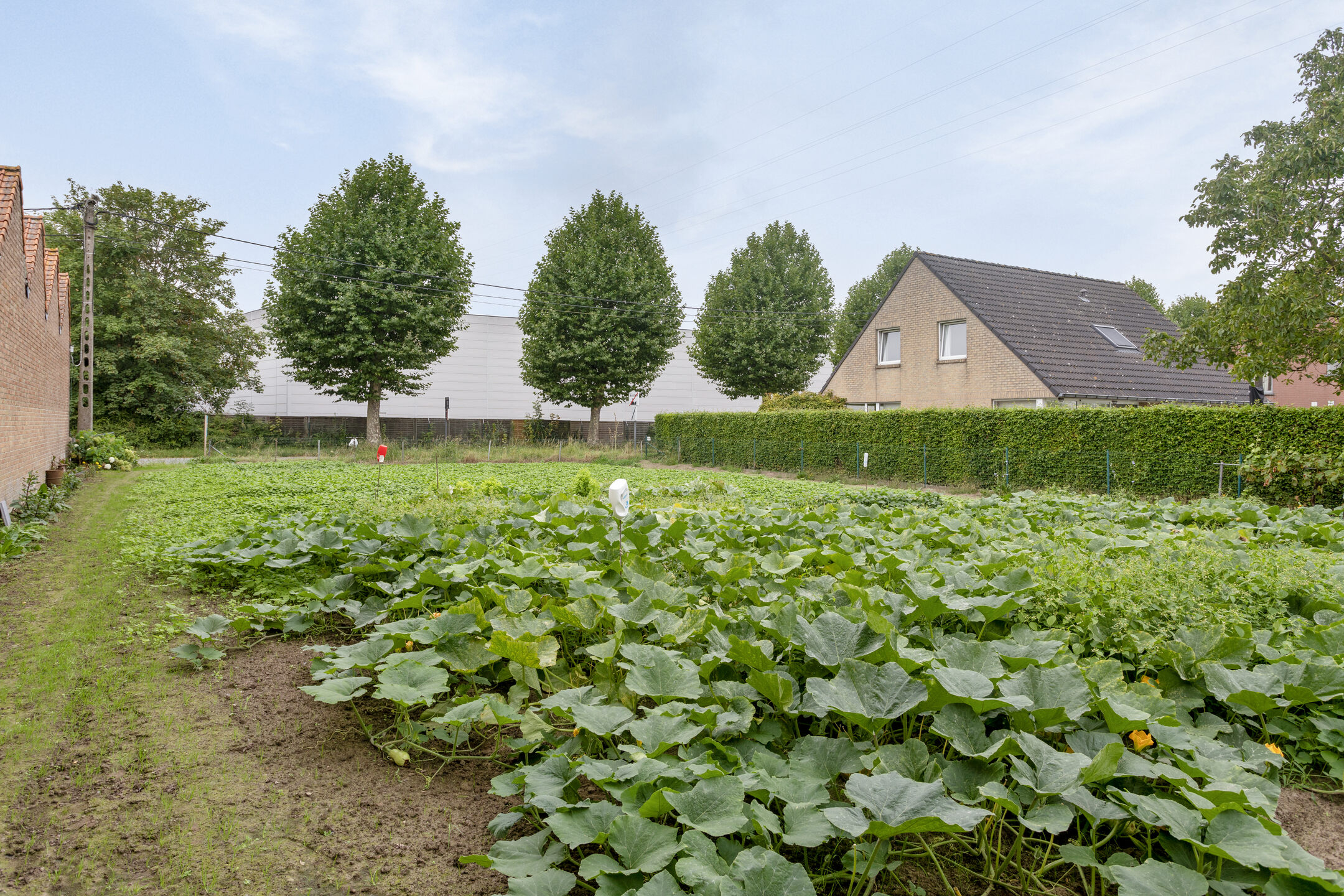 Bouwgrond geschikt voor open bebouwing in Wielsbeke - foto 5