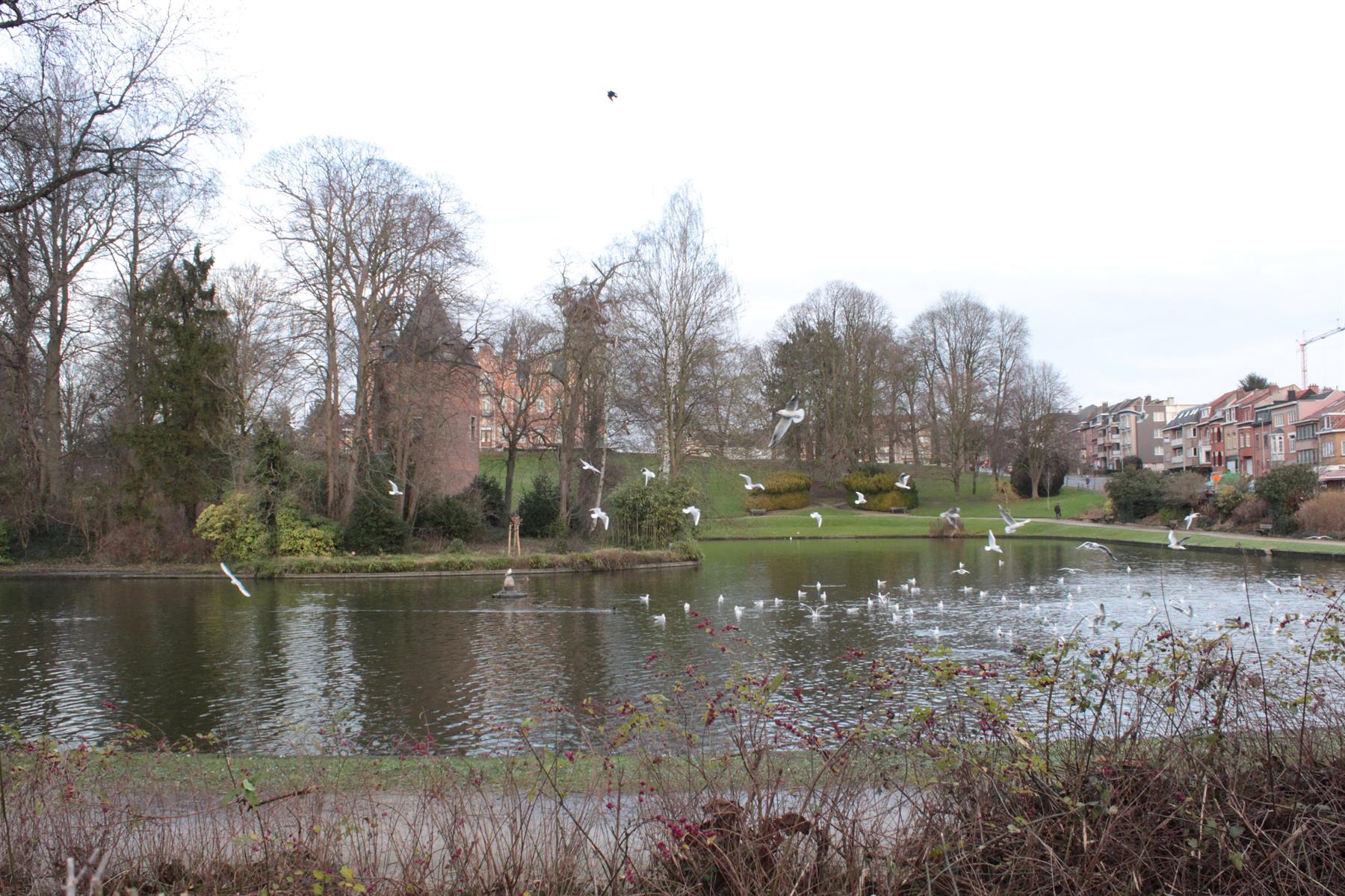 Commercial ground floor 86m² in Dilbeek center - photo 2