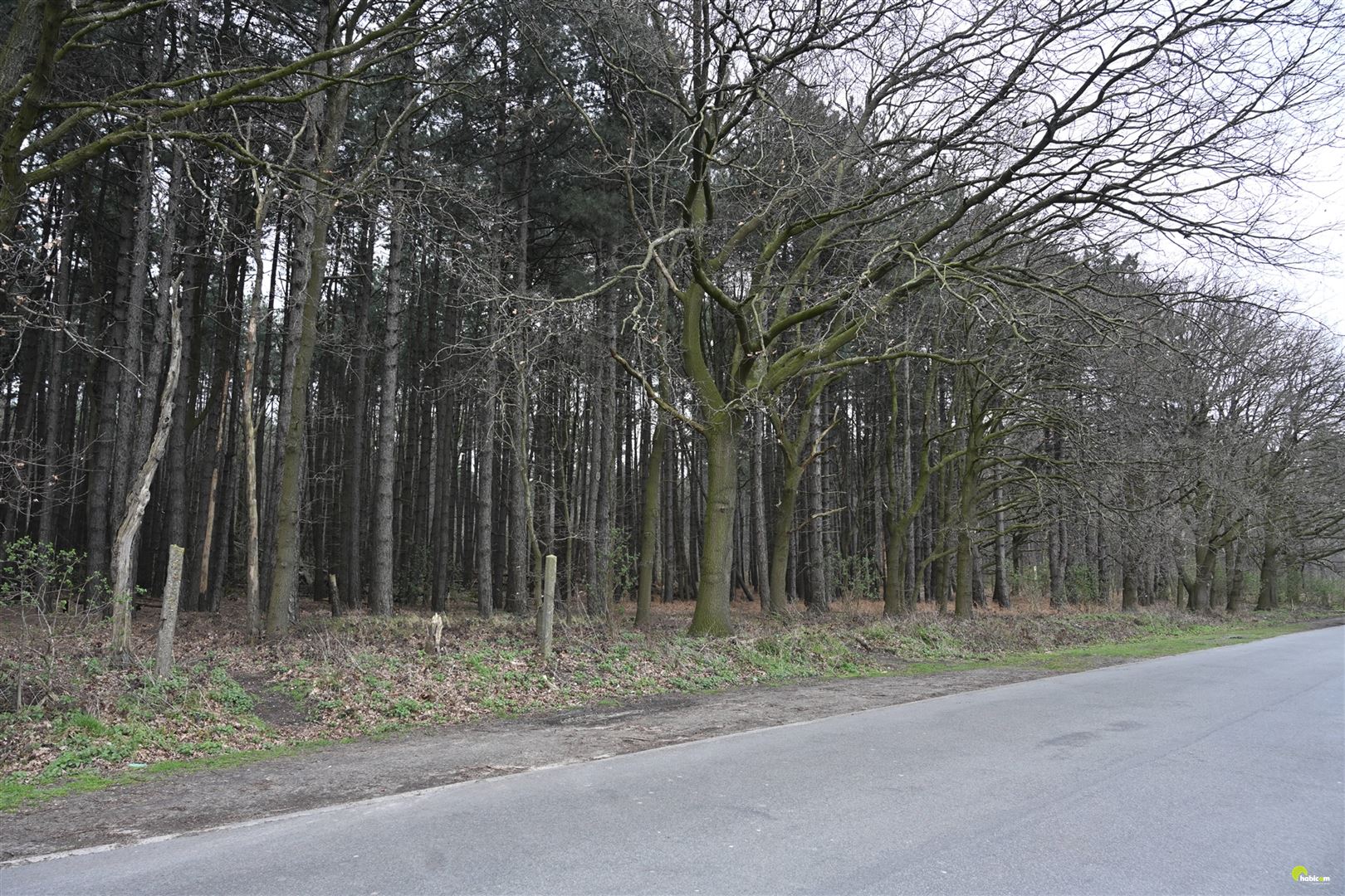 Mooie bosgrond met loofbomen te Wachtebeke! - foto 3