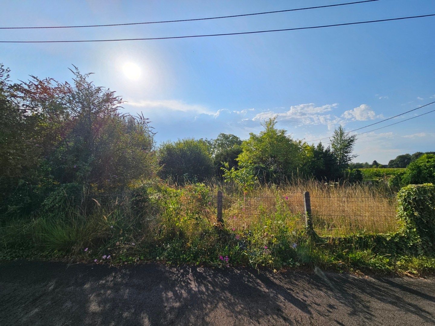 Grond te koop in Tildonk - foto 2