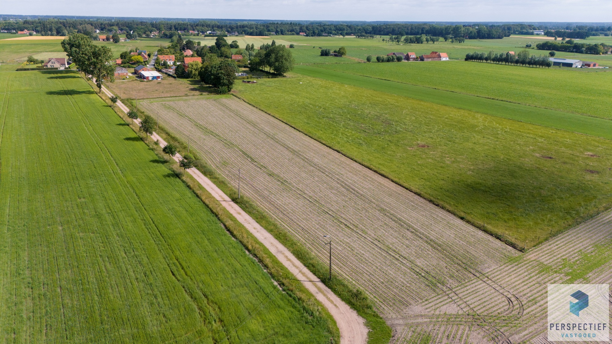 UITERST RUSTIG &amp; LANDELIJK GELEGEN hoeve met WEILAND op ca. 6790 m² - foto 5