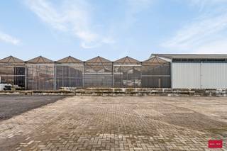 Serre te huur in Hoogstraten (200m²) Bent u op zoek naar een opslagplaats in Hoogstraten dat zowel ruim als goed gelegen is? Zoek niet verder! Opslag oppervlakte van 200m². Het heeft een strategische ligging die gemakkelijk toegankelijk is voor zowel leveranciers als klanten. Dit aanbod kan u tevens op onze website terug vinden. Troeven: - per direct beschikbaar - Gunstige ligging - 24/7 bereikbaar