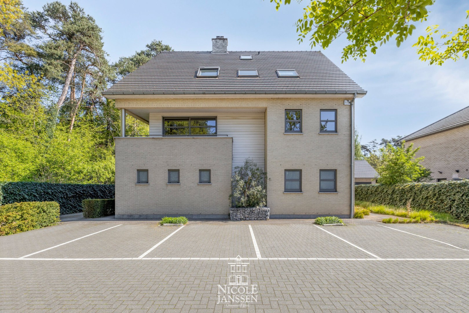 …