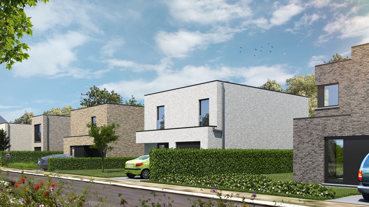 Project te koop in Aalter - foto 3