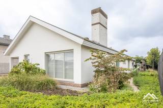 Deze gerenoveerde bungalow is gelegen in een rustige woonwijk van Wachtebeke en biedt een praktische, lichtrijke woonindeling met alle leefruimtes op één niveau. De woning beschikt over een grote en lichtrijke living met aansluitende eetkamer, ideaal voor een comfortabele leefruimte met veel natuurlijke lichtinval. De ingerichte keuken biedt bovendien voldoende plaats voor een gezellige eethoek. Verder zijn er drie slaapkamers, een koele en gerieflijke kelderberging die extra voorraad- en opbergruimte biedt, een badkamer met lavabomeubel en bad met douche en een afzonderlijk toilet. Buiten bevindt zich een grote garage en een ruime, verzorgde tuin met tuinhuis. Het nieuw aangelegde terras sluit mooi aan op de tuin en vormt een aangename plek om buiten te vertoeven. Ideale woning voor wie zoekt naar comfortabel gelijkvloers wonen met drie slaapkamers, ruime en lichtrijke leefruimtes, een praktische keuken, extra bergruimte en een verzorgde tuin op een rustige ligging in Wachtebeke. Bezoekdag: 03/10: Inschrijven via mail naar tommy@immo-home.be, geen telefonische inschrijvingen! Volg ons op Fb en Insta. Voor meer info: www.immo-home.be. GRATIS SCHATTING & GRATIS FINANCIEEL ADVIES