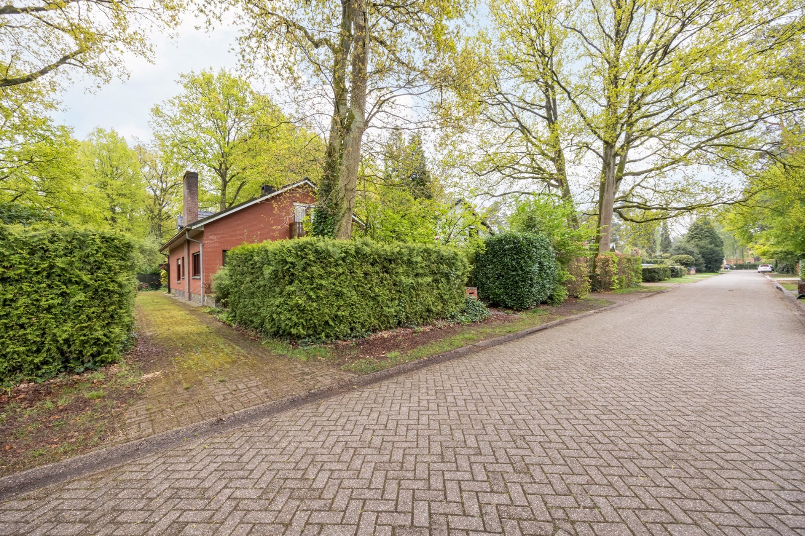 Ruime gezinswoning met 4 slaapkamers in het groene Hertebos - foto 2