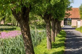 <p>Te koop: unieke hoeve met uitzonderlijk potentieel (B&B, co-housen, combinatie wonen/praktijk, of voor mensen op zoek naar ruimte), midden in het natuurreservaat De Kleiputten, genietend van alle rust & privacy, met prachtige vergezichten. Gelegen in WOONZONE, wat ongelofelijke kansen biedt. <br /><br />Deze prachtige eigendom bestaat uit een mooie oprit, handige grote parking, een charmante hoevewoning (hoofdgebouw + bijgebouw) (in totaal 11 slaapkamers en 8 badkamers), een grote schuur/loods/atelier, en een extra grote aanpalende bouwgrond, omliggende weides en bos. <br /><br />Wat maakt dit pand uniek?<br />Het hoofdgebouw heeft meer dan 400 m² bewoonbare oppervlakte, goed voor een indrukwekkend volume en talloze invulmogelijkheden.<br />Met 11 slaapkamers en 8 badkamers biedt deze prachtige eigendom alle ruimte voor grote gezinnen, woonprojecten of commerciële ideeën zoals een B&B of vakantiewoning.<br /><br />Binnen vallen meteen de lichtrijke leefruimtes en het open gevoel op. Zowat elke ruimte geniet van zicht op de omliggende natuur. De hoeve beschikt over hoogrendementsglas met houten schrijnwerk, wordt verwarmd met een mazoutinstallatie, en biedt het comfort dat je van een grote landelijke woning mag verwachten.<br />Mogelijkheid bijkopen aanpalende grond + bijgebouw (300m2).<br /><br />Voor wie is dit ideaal?<br />Deze eigendom is perfect voor natuurliefhebbers, ondernemers, of grote families die dromen van een unieke woonplek met veel ruimte, rust en uitstekende ontwikkelingsmogelijkheden.<br /><br />Dit zoekertje omvat enkele AI-gegenereerde visualisaties. <br />Te koop via Immo Beguin, jouw vastgoedexpert sinds 2009, met kantoren in Ronse, Waregem, Kortrijk, Deinze, Doornik en Lessines.</p>
