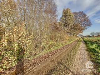 PLUSPUNTEN+ zéér groot perceel bosgrond: ca. 31230 m2+ voornamelijk loofbomen+ bestemming volgens gewestplan is natuurgebied+ gelegen aan de...