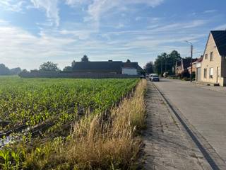 Langs de Hovaerestraat (rechts naast huisnummer 70) in Koekelare realiseren we deze nieuwe verkaveling. Je woont er op een boogscheut van het centrum, op wandelafstand van winkels (supermarkt op 650m, bakkerij op 500m), scholen (basisschool en middelbare school op 1 km) en openbaar vervoer (bushalte op 700m). Even uitwaaien in de natuur? Dat kan in het nabijgelegen Koekelarebos en Arboretum.
De grootte van de percelen en de ruime stedenbouwkundige voorschriften (één of twee bouwlagen, vlak of hellend dak) bieden tal van mogelijkheden. Hier bouwen we jouw nieuwe, energiezuinige woning volledig op maat, tegen een vaste prijs.
Contacteer ons voor meer info of een afspraak. Of vraag jouw gratis inspiratieboek: 250 pagina's boordevol woonideeën.