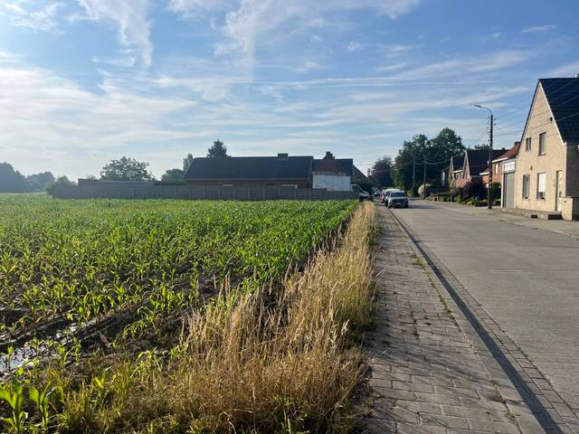 Project te koop in Koekelare