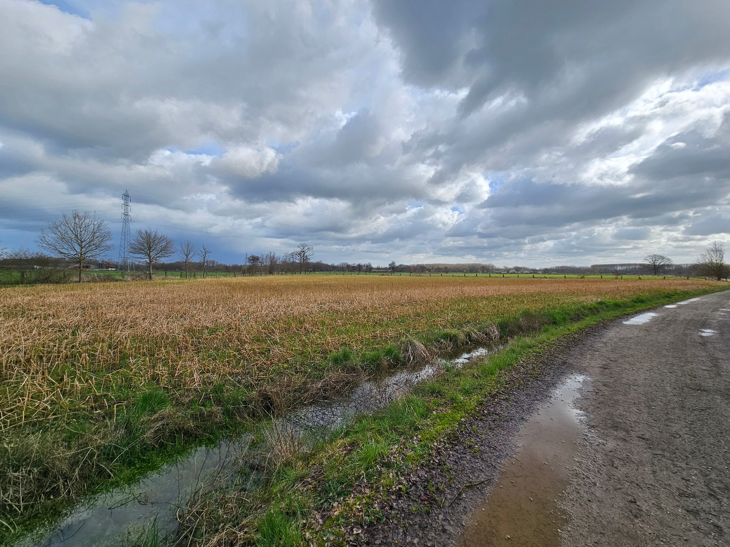 Grond te koop in Tildonk - foto 4