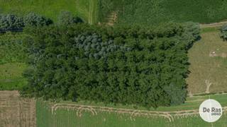 BURST - Bosperceel van ca. 47 are te Burst (Erpe-Mere)<br /><br />Bent u op zoek naar een eigen stukje natuur? Dan is dit prachtige bosperceel van ca. 4.700 m² (47 are) in Burst ideaal. <br /><br />Gelegen langs de Oudenaardsesteenweg geniet u hier van een groene omgeving, ideaal voor natuurliefhebbers. Het perceel bevindt zich in een landschappelijk waardevol agrarisch gebied en binnen het RUP Sint-Lievens-Houtem en Kottembos, met bestemmingen natuurverweving en agrarisch gebied.<br /><br />Het bosperceel is bereikbaar via een rustig baantje en is uitsluitend te voet toegankelijk. De toegang verloopt via een klein brugje over een meestal droge gracht, waardoor de natuurlijke en ongerepte uitstraling van het perceel volledig behouden blijft. Er kan tot het perceel gereden worden met de wagen, maar het perceel zelf is dus niet toegankelijk met de wagen. <br /><br />Troeven<br />- Bosperceel van ca. 47 are<br />- Rustige en groene omgeving<br />- Ideaal voor natuur- en bosliefhebbers<br /><br />Interesse in dit unieke stukje natuur? Neem gerust contact met ons op voor meer informatie 053/60.65.60.