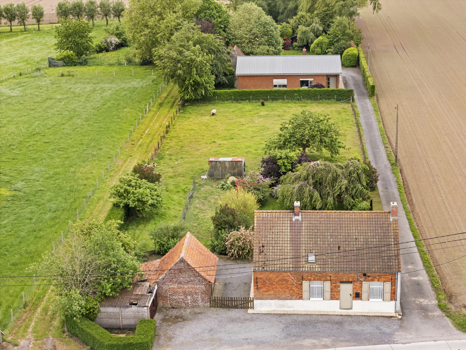 Maison à vendre à Hooglede avec 4 chambres - photo 3