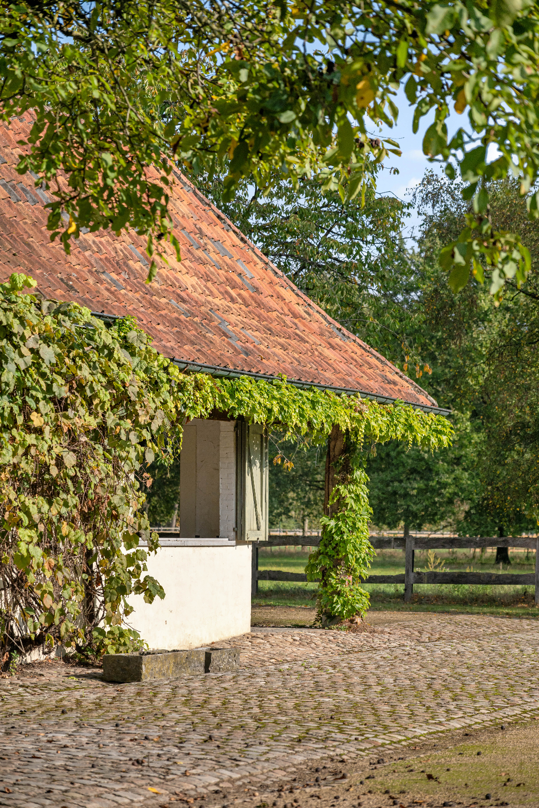 Charmante hoeve met bijgebouwen aan het Merodebos - foto 5
