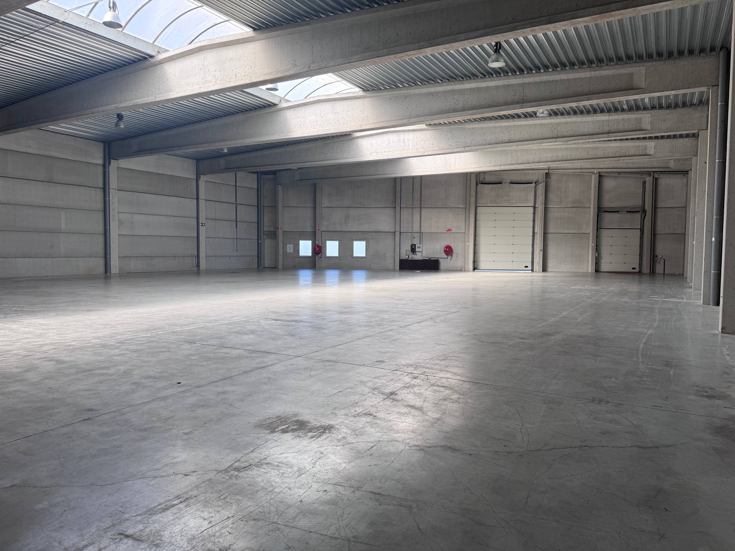 Magazijnruimte van 1.003 m² op absolute toplocatie vlakbij E17 - photo 3