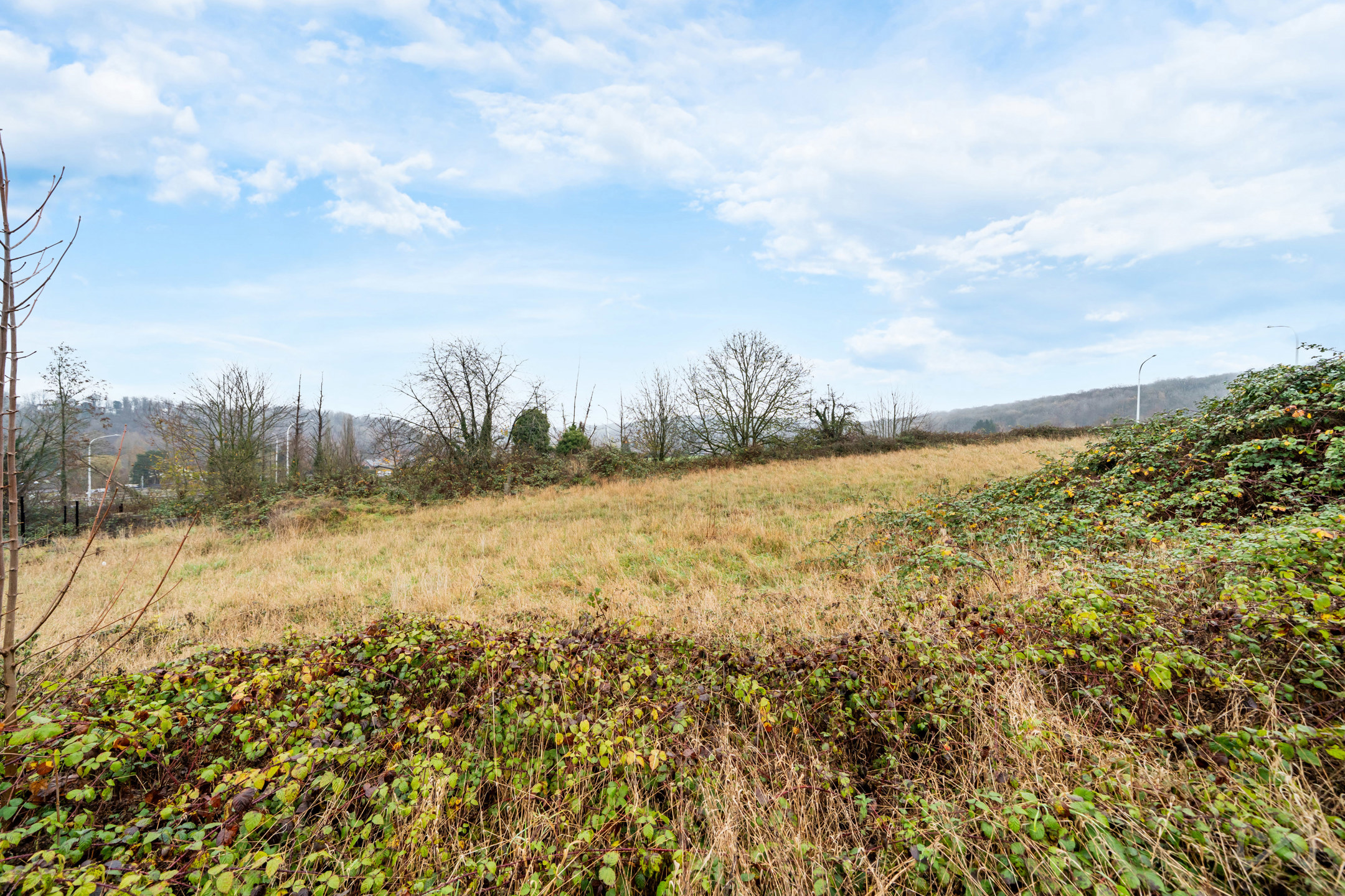 Land for sale in Walcourt - photo 5