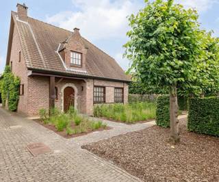 Ruime open bebouwing op 1.689 m² in rustige zijstraat te DuffelIn een rustige zijstraat van de Mijlstraat in Duffel bevindt zich deze degelijk...